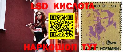 прущие грибы Пенза