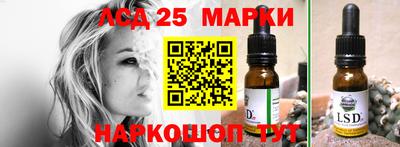 прущие грибы Пенза