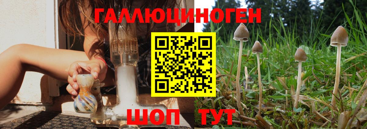 Галлюциногенные грибы MAGIC MUSHROOMS Сосновоборск