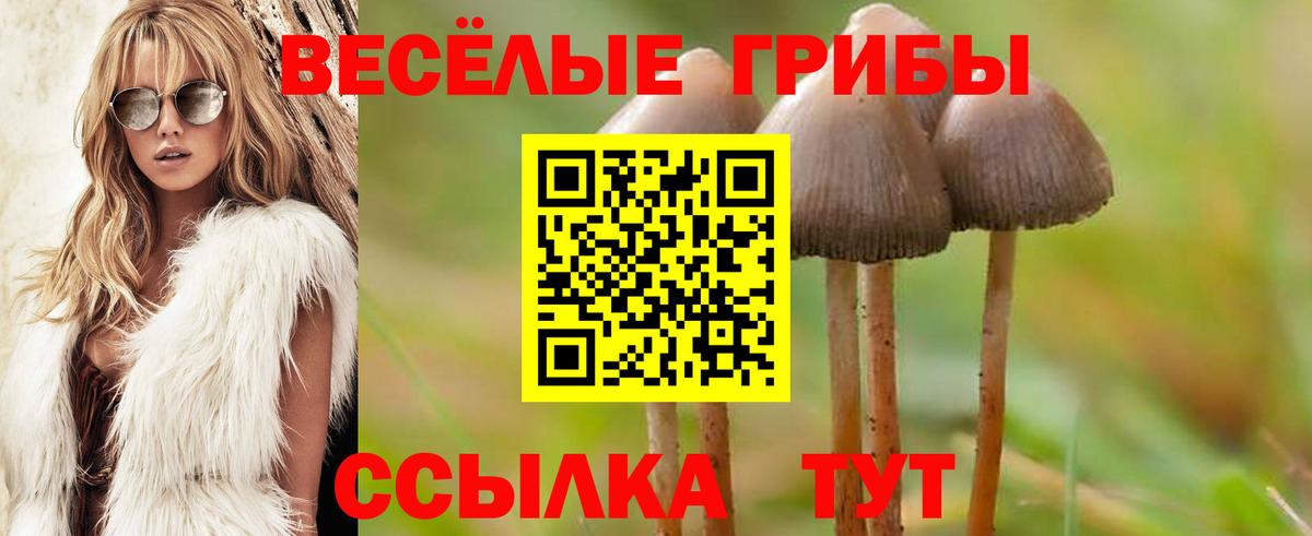 Сосновоборск  Галлюциногенные грибы ЛСД  Галлюциногенные грибы Psilocybe  Вход с VPN 